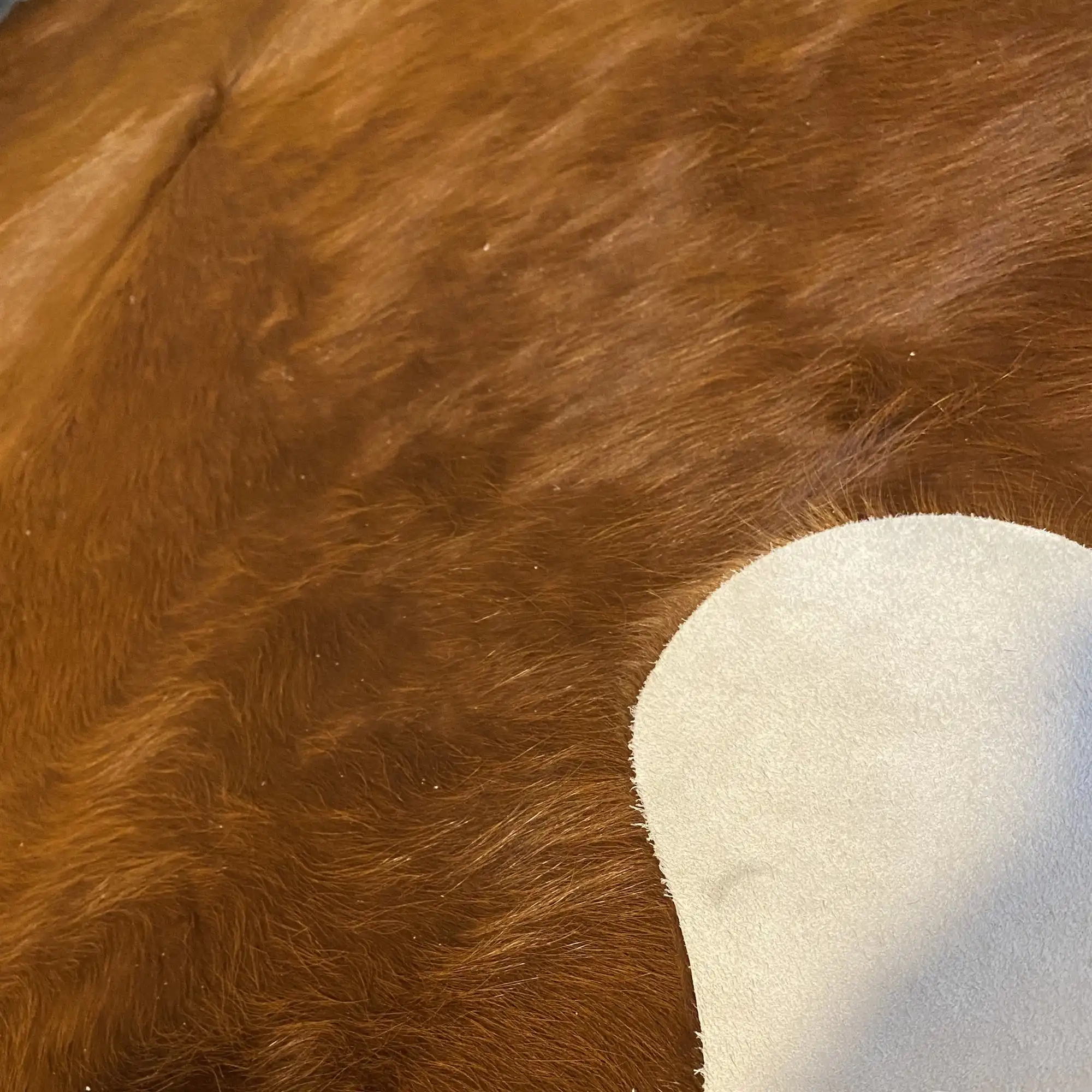 HAKİKİ DERİ DANA POSTU KAHVE 180 x 220 - 0201000056