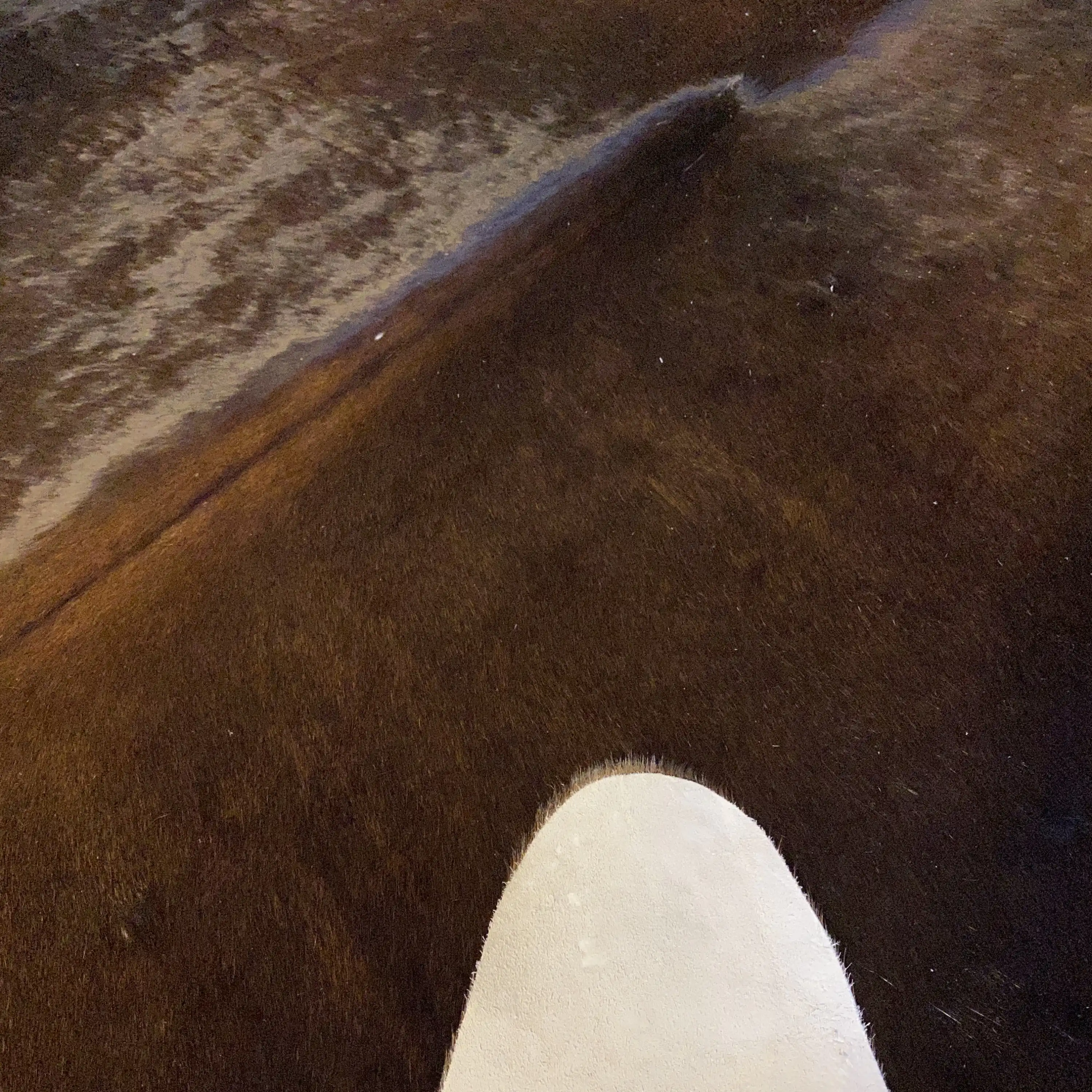 HAKİKİ DERİ DANA POSTU KAHVE 180 x 220 - 0201000152