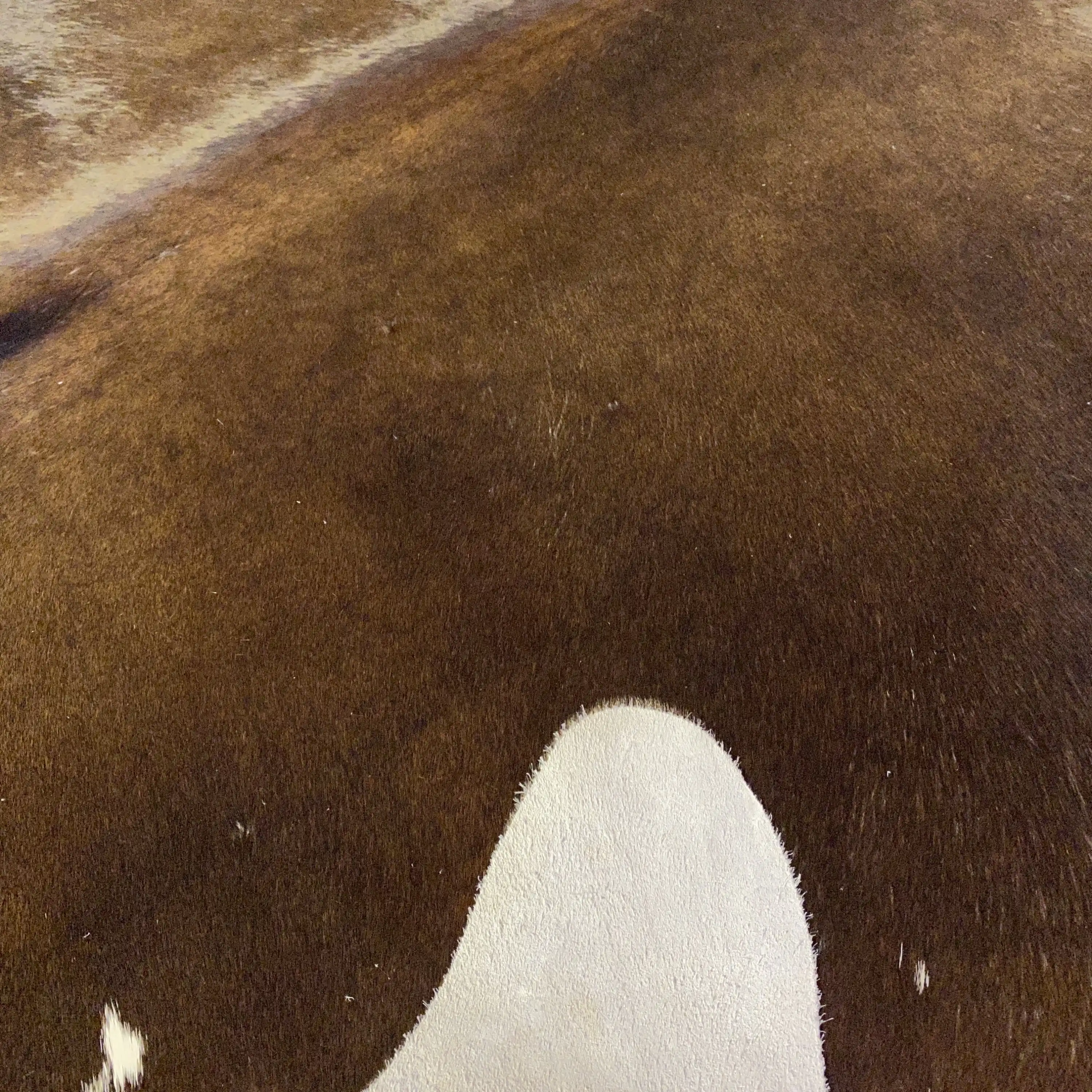 HAKİKİ DERİ DANA POSTU KAHVE 180 x 230 - 0201000074