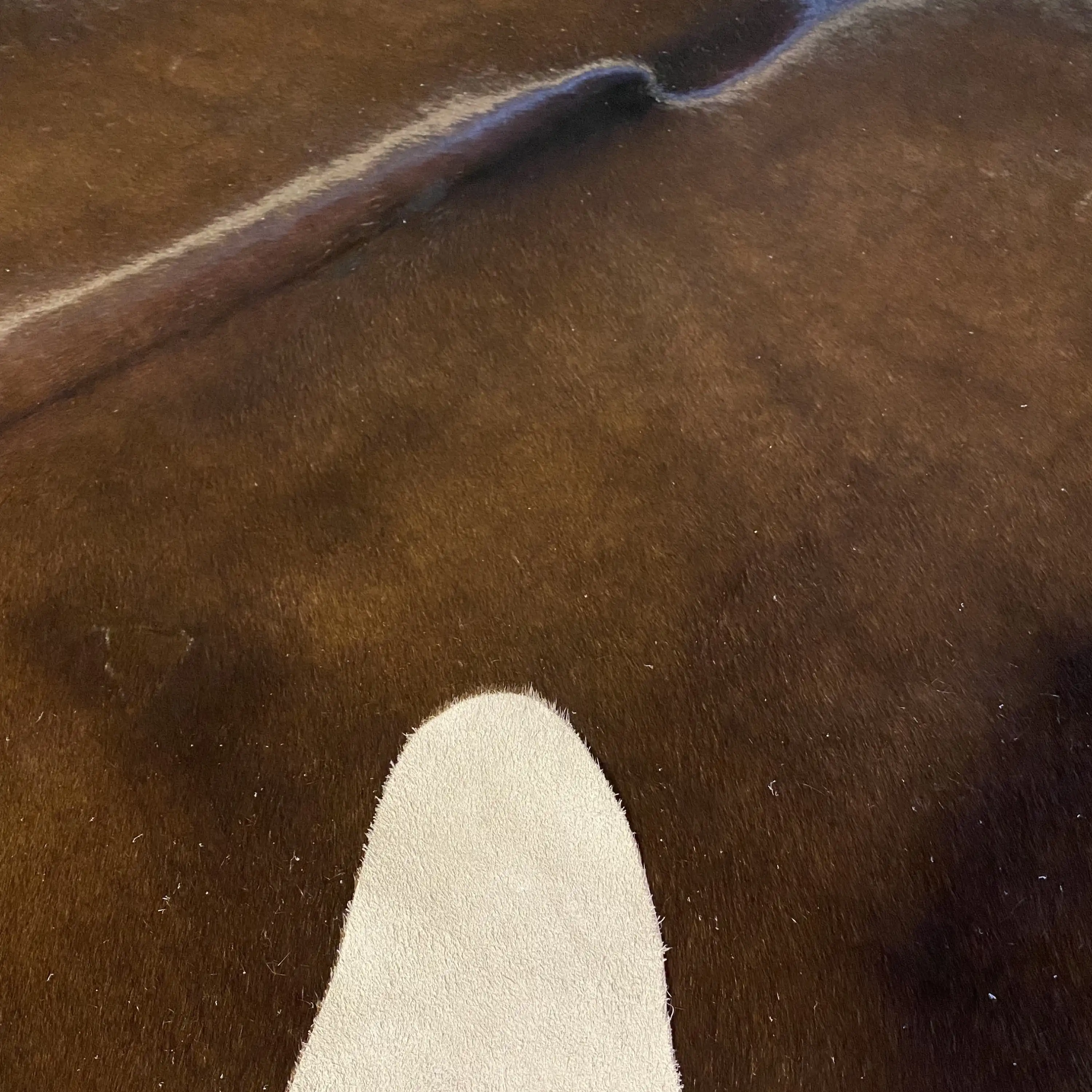 HAKİKİ DERİ DANA POSTU KAHVE 185 x 240 - 0201000102