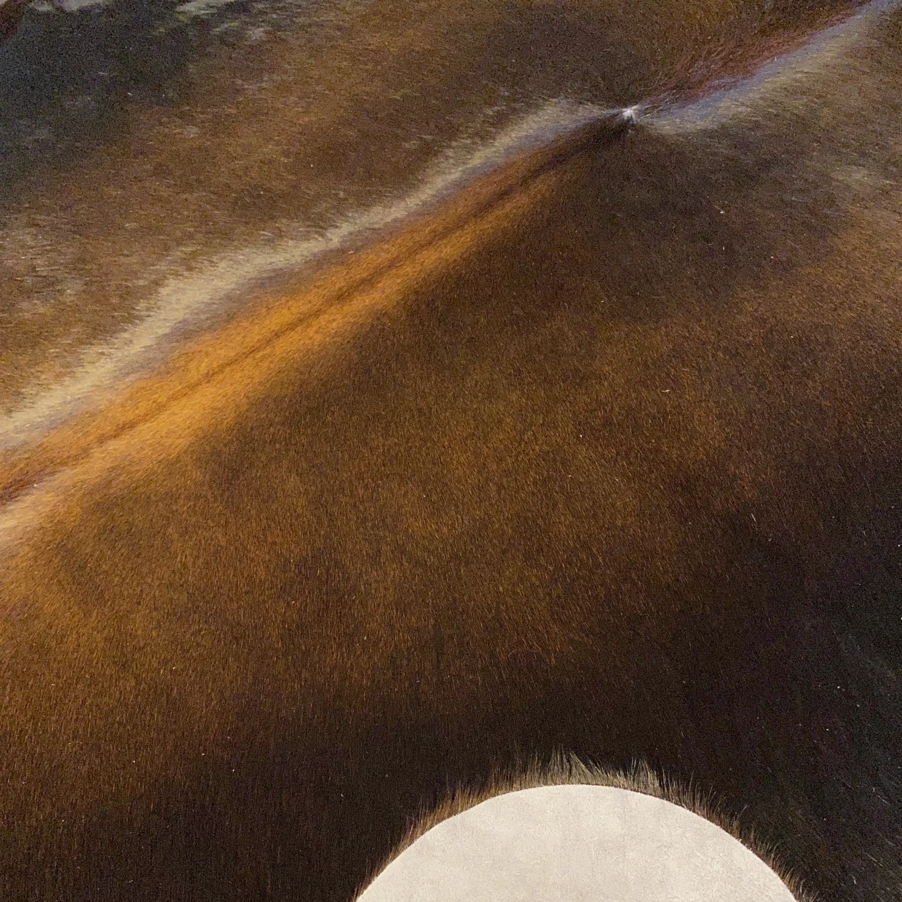 HAKİKİ DERİ DANA POSTU KAHVE 190 x 215 - 0201000076