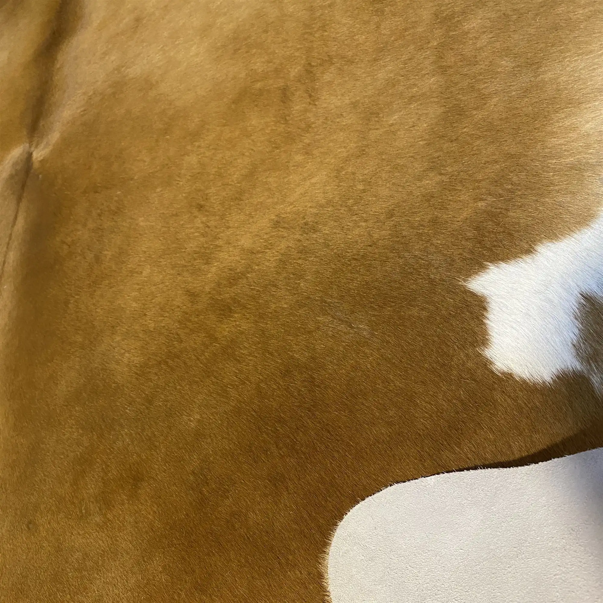 HAKİKİ DERİ DANA POSTU KAHVE 190 x 225 - 0201000042