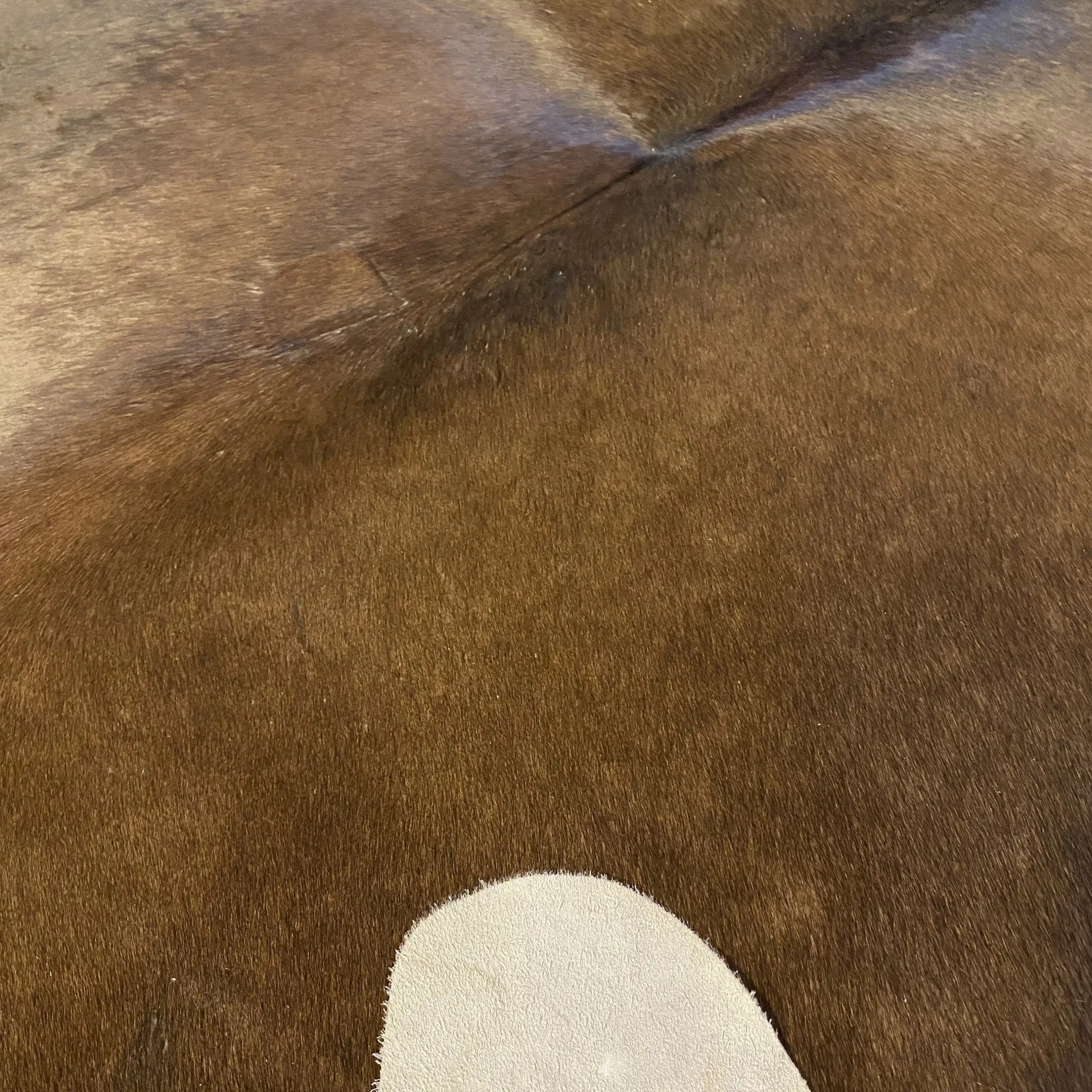 HAKİKİ DERİ DANA POSTU KAHVE 195 x 220 - 0201000104