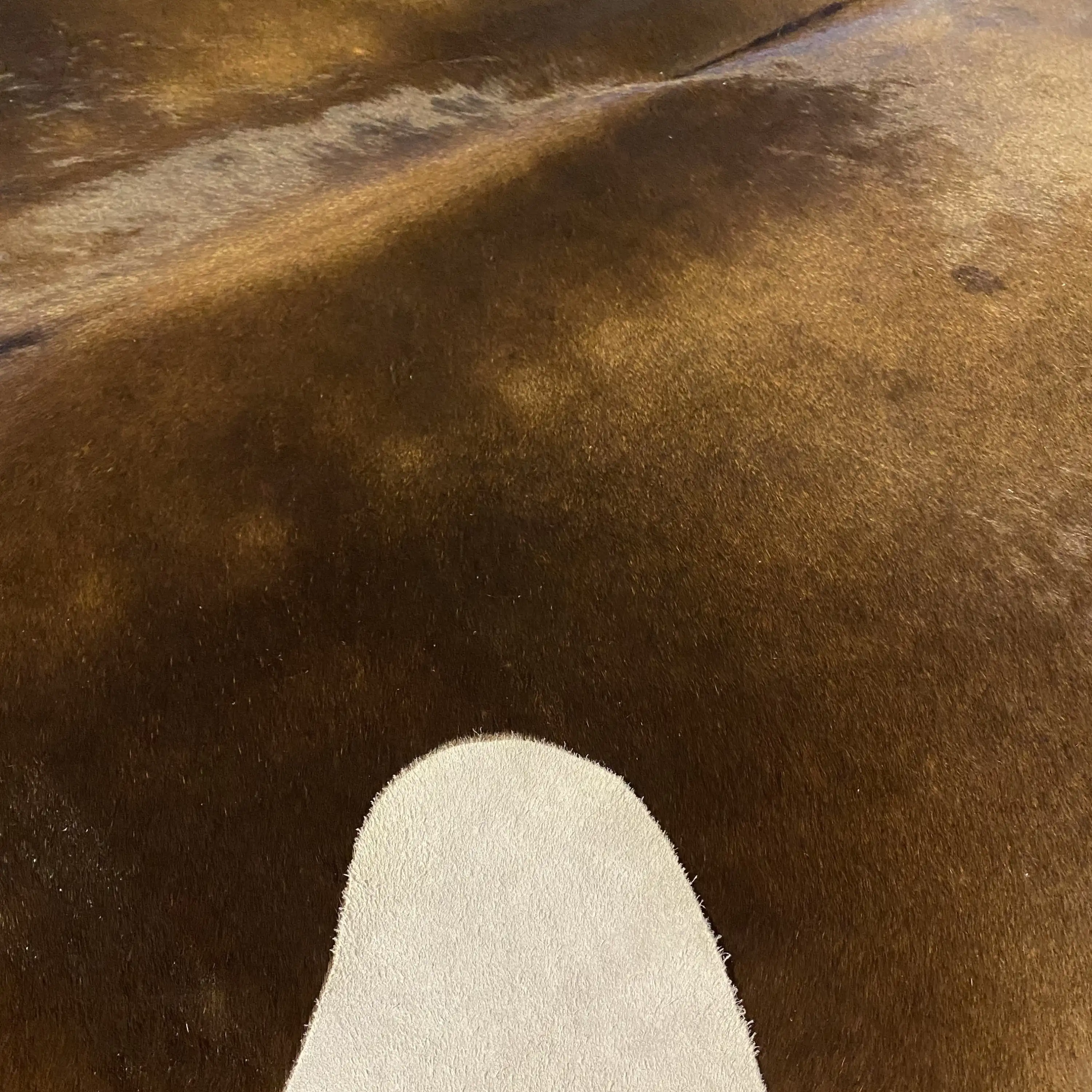 HAKİKİ DERİ DANA POSTU KAHVE 195 x 245 - 0201000113