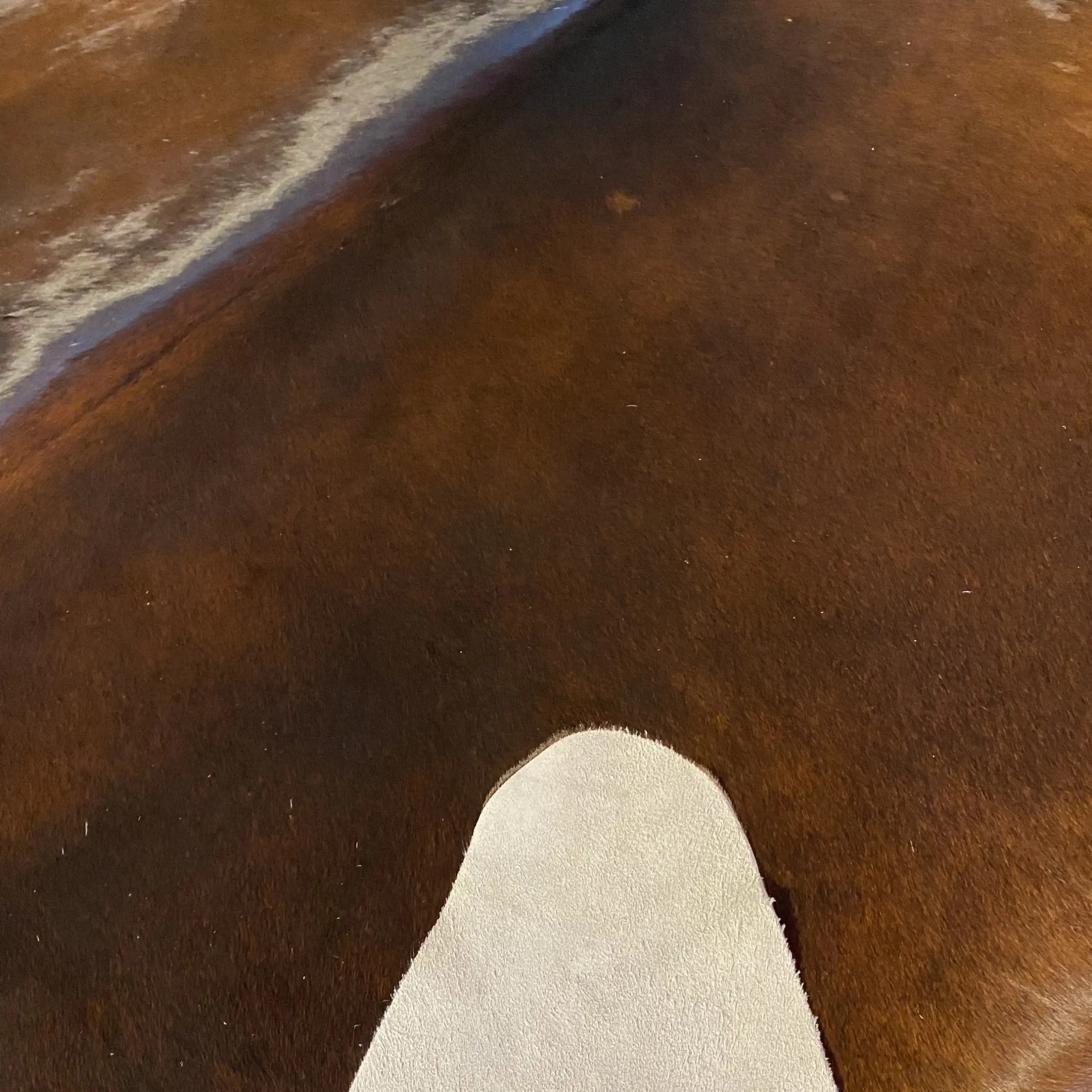 HAKİKİ DERİ DANA POSTU KAHVE 200 x 225 - 0201000090