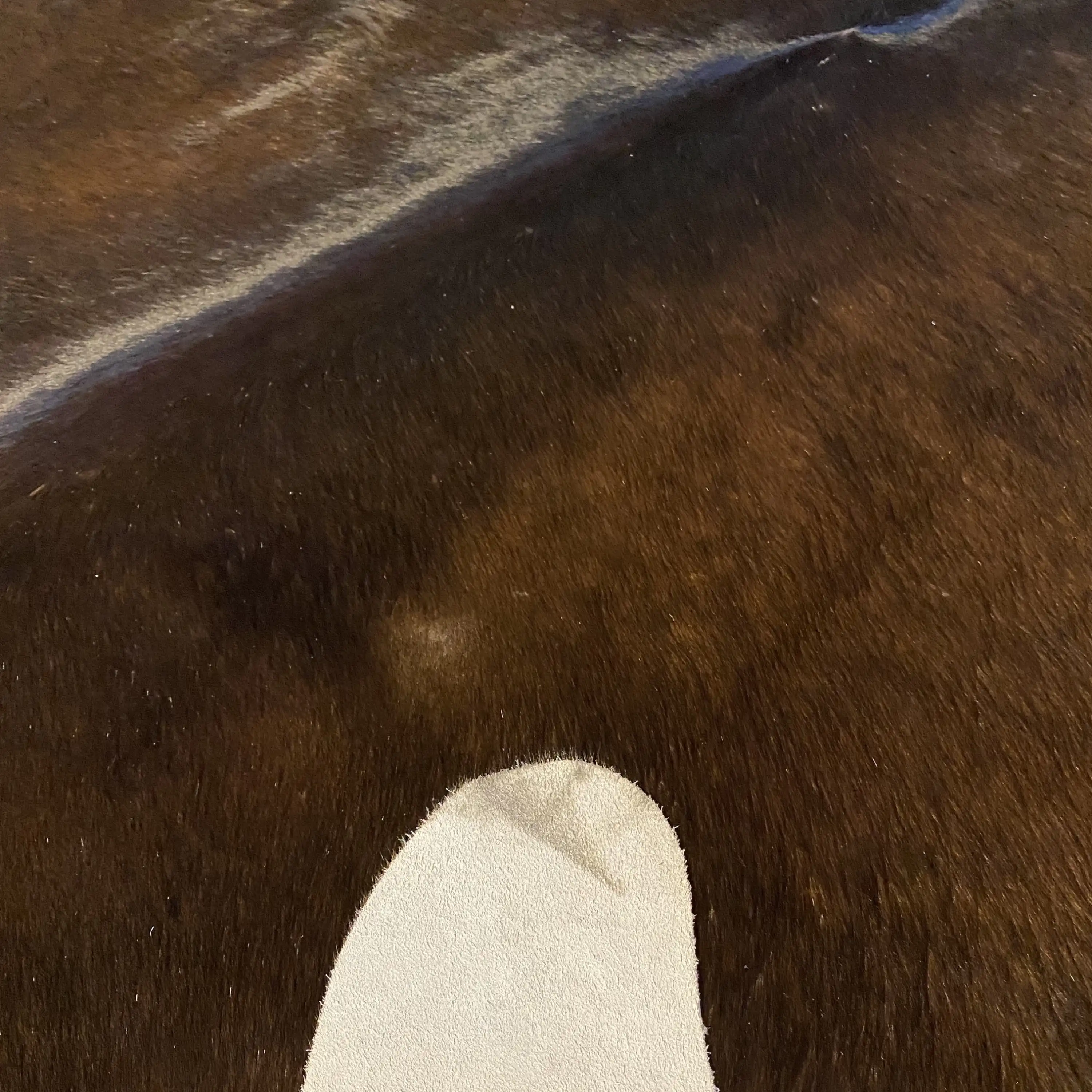 HAKİKİ DERİ DANA POSTU KAHVE 205 x 230 - 0201000110