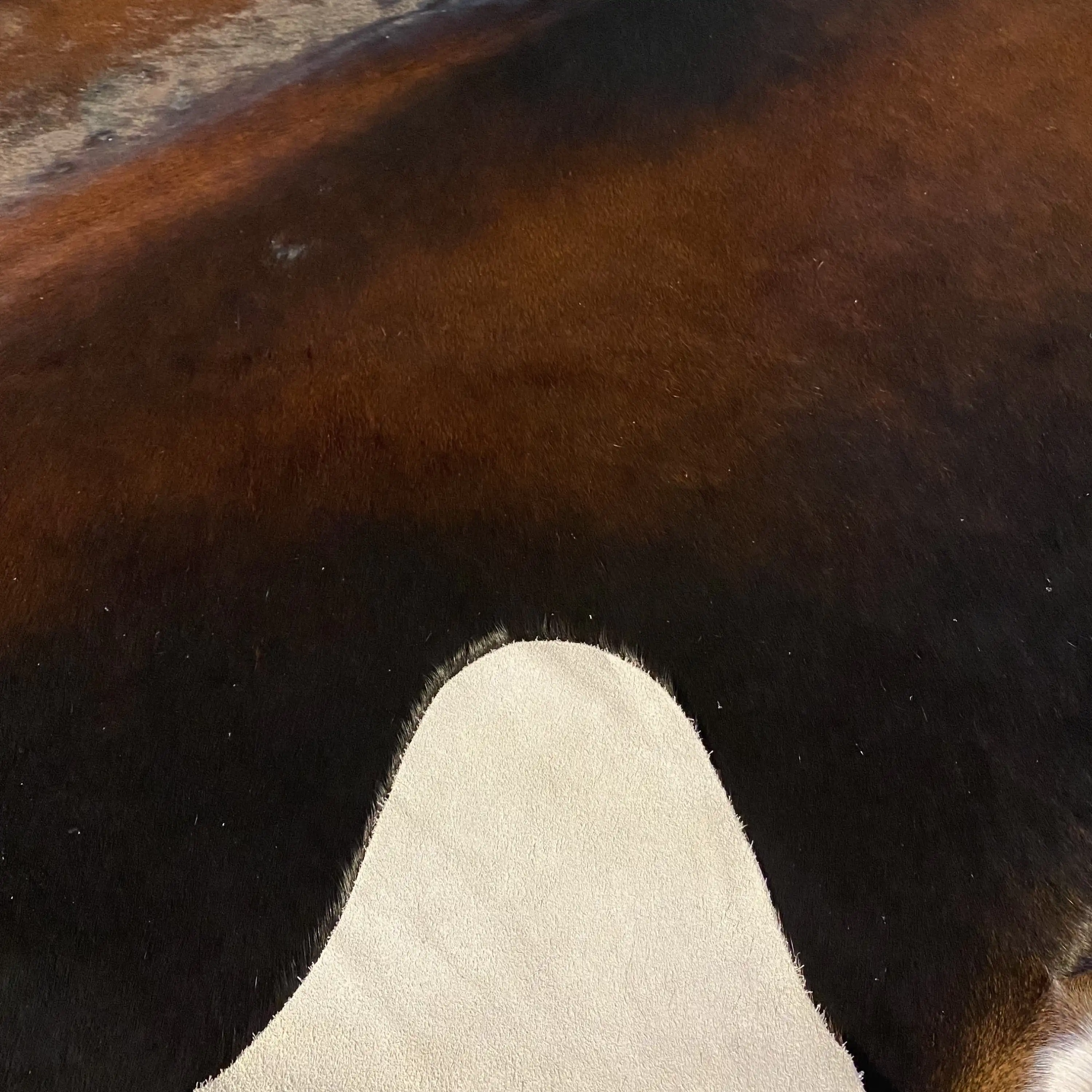 HAKİKİ DERİ DANA POSTU KAHVE 210 x 220 - 0201000117