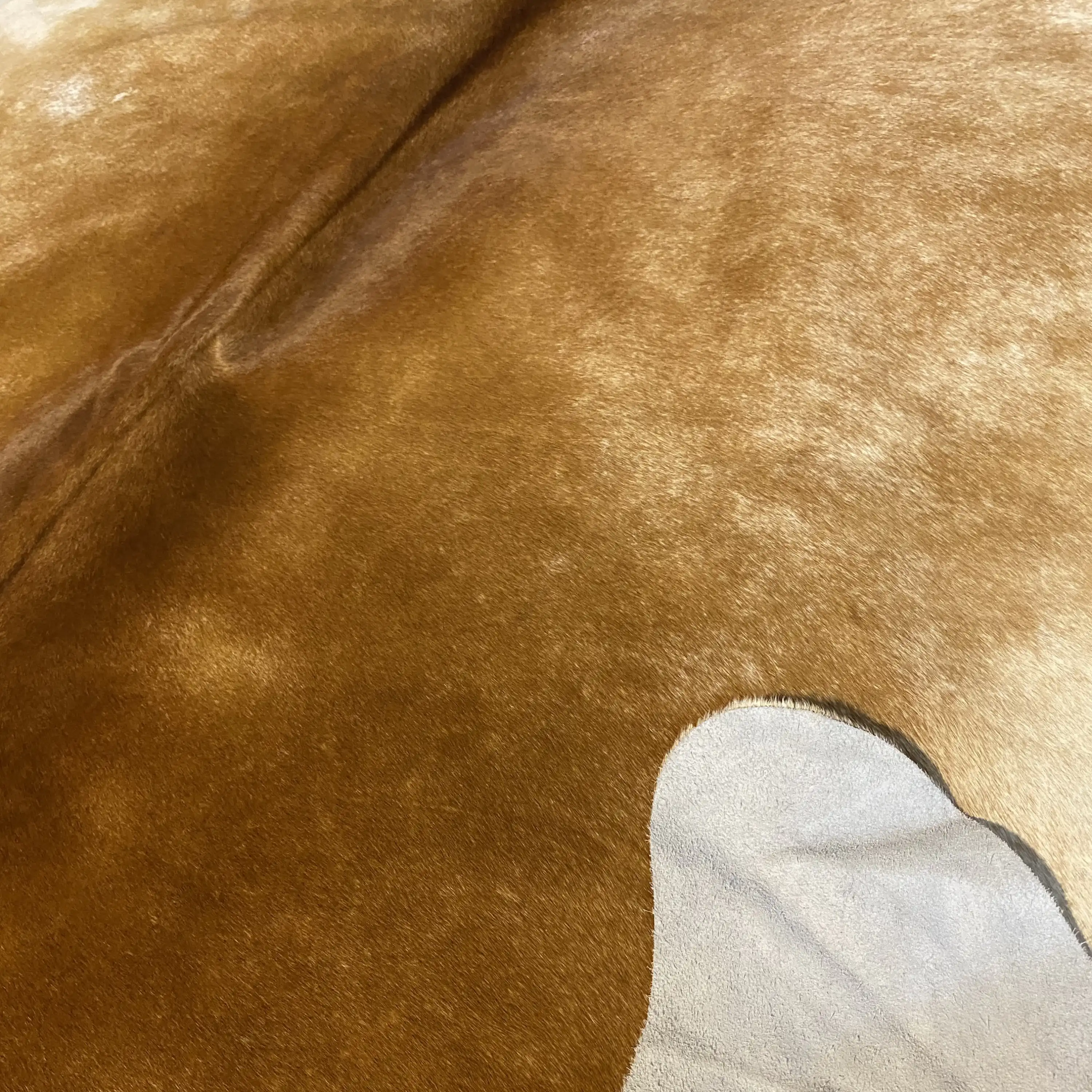 HAKİKİ DERİ DANA POSTU KAHVE - BEYAZ 190 x 215 - 0801000032