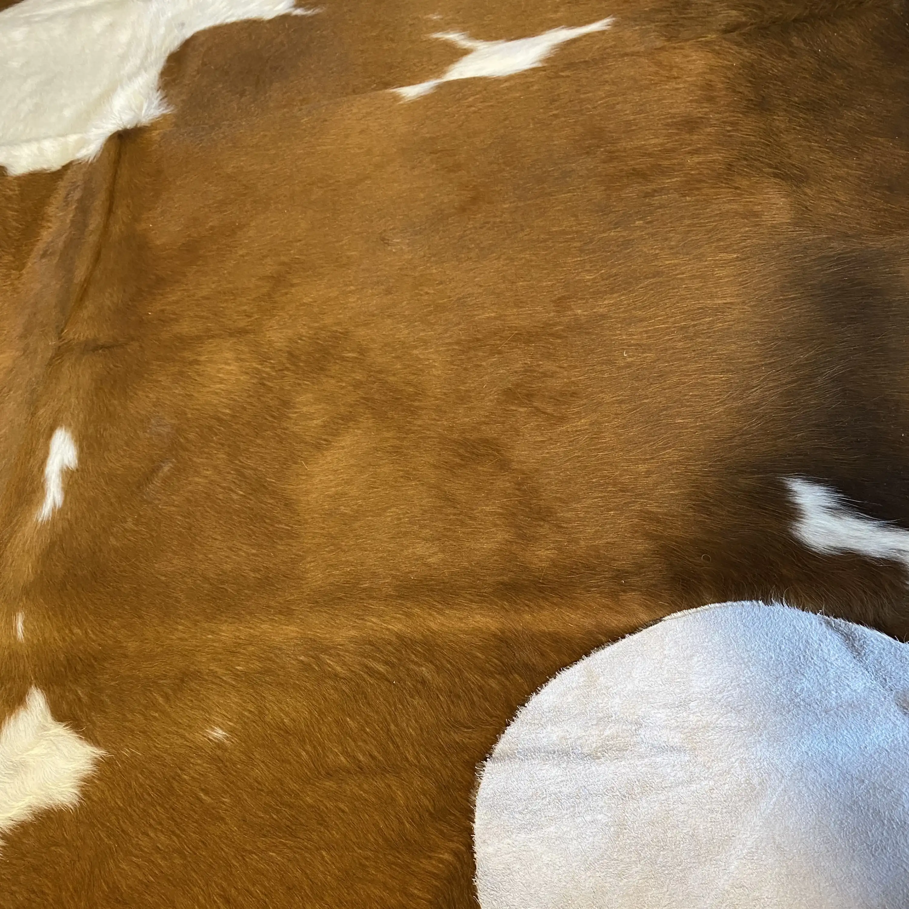 HAKİKİ DERİ DANA POSTU KAHVE - BEYAZ 190 x 225 - 0801000129