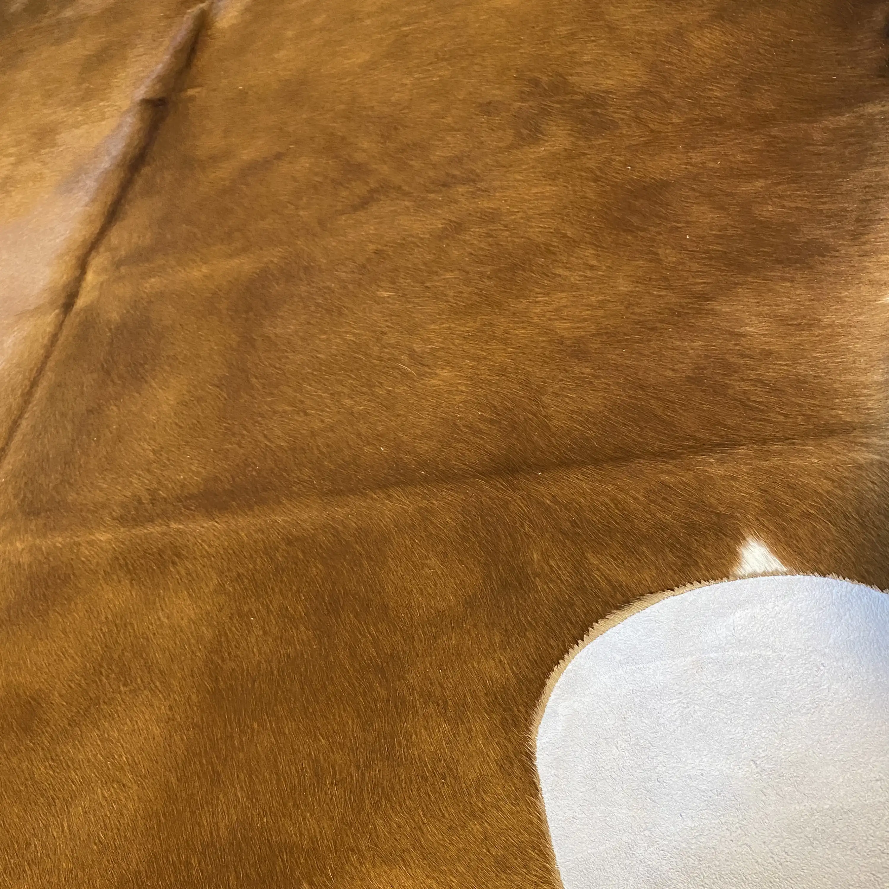 HAKİKİ DERİ DANA POSTU KAHVE - BEYAZ 200 x 225 - 0801000114