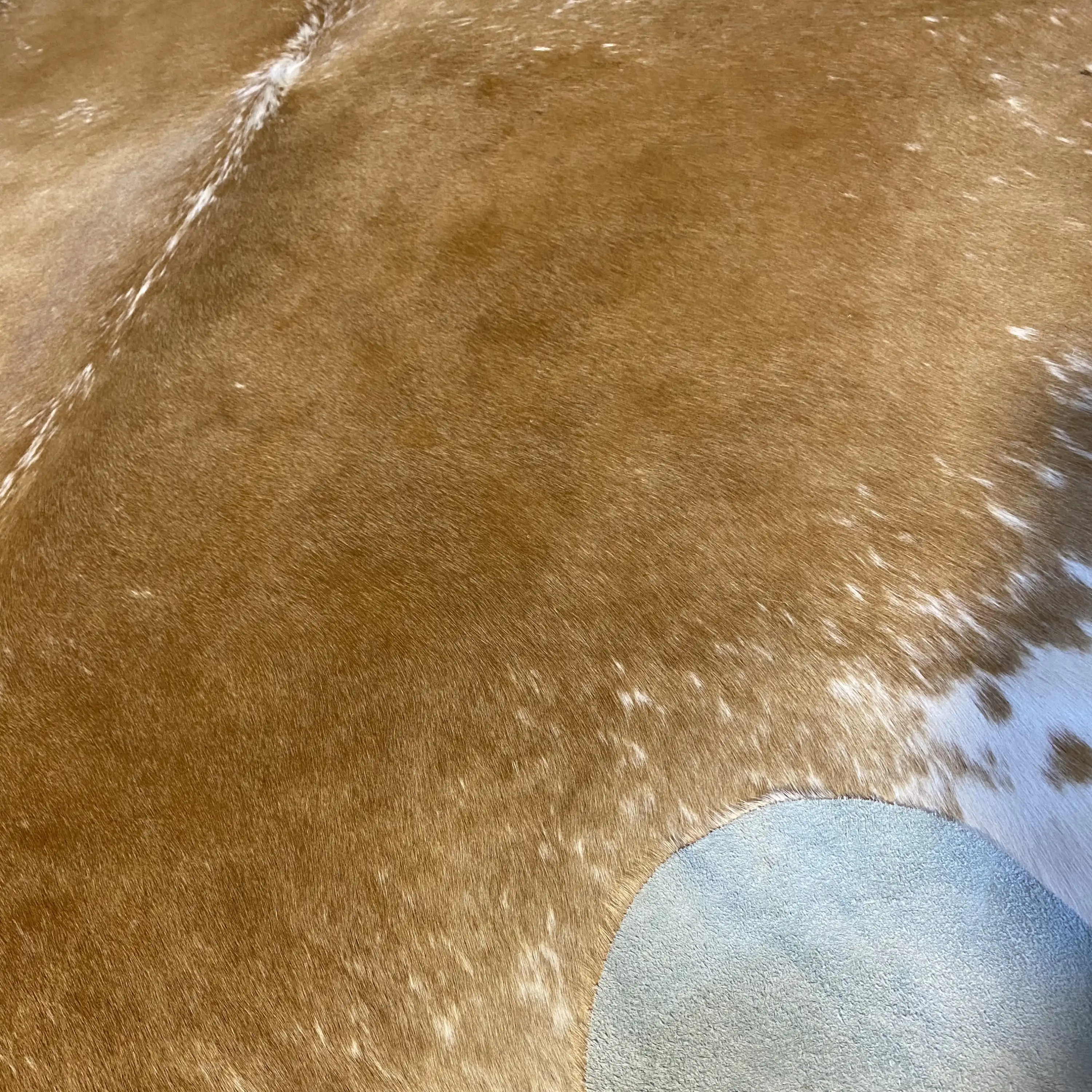 HAKİKİ DERİ DANA POSTU KAHVE - BEYAZ 215 x 205 - 0801000064