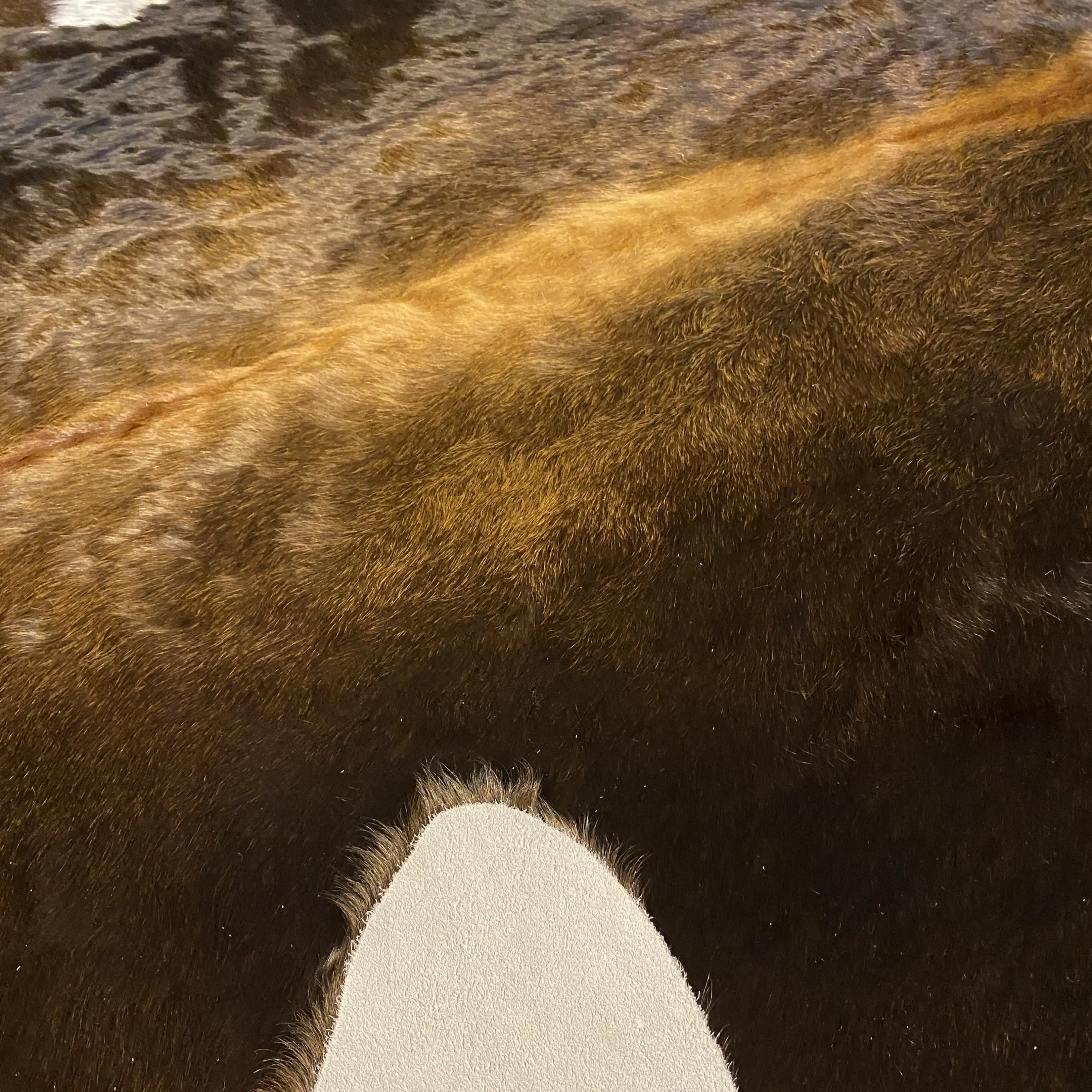 HAKİKİ DERİ DANA POSTU MIX KAHVE 185 x 230 - 1001000176