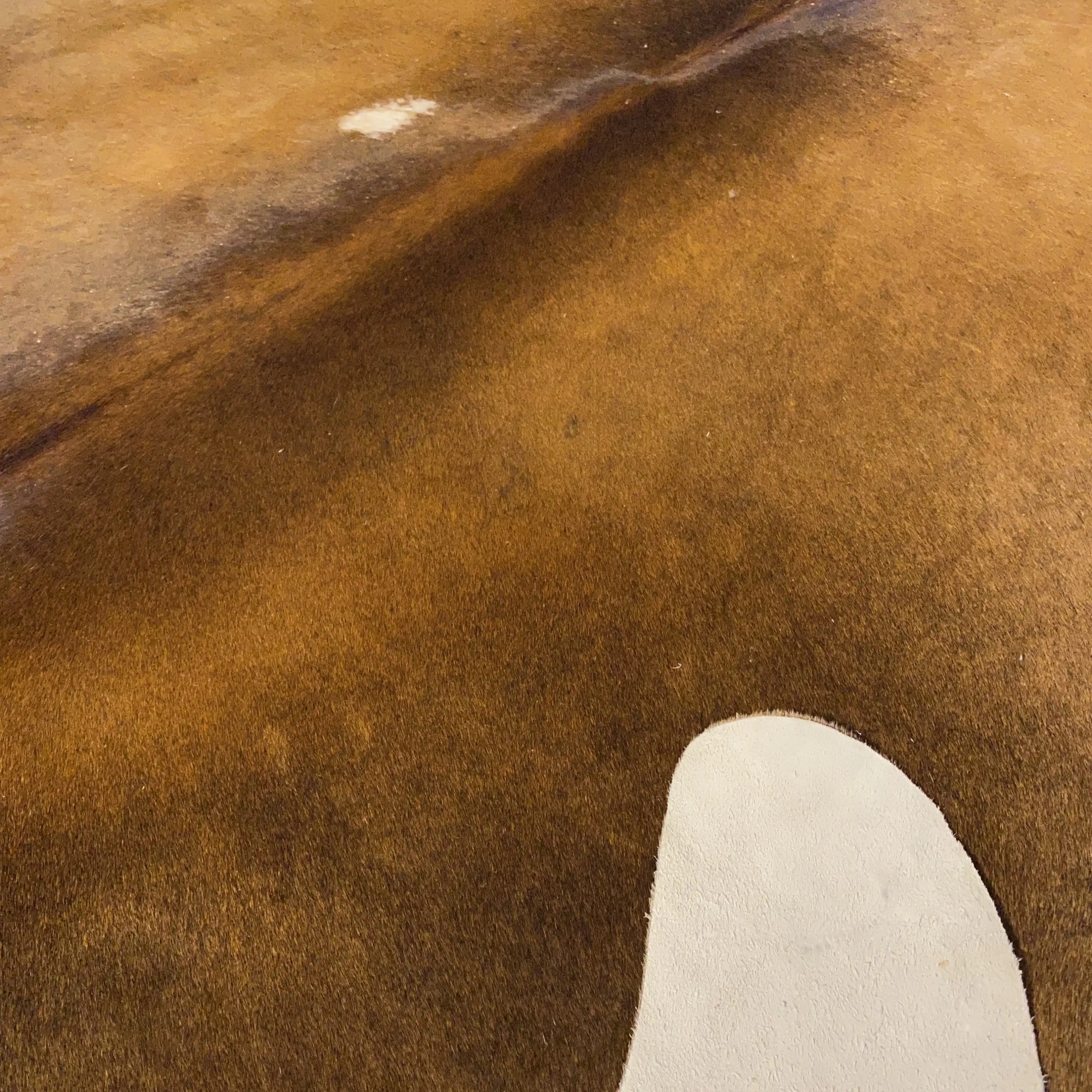 HAKİKİ DERİ DANA POSTU MIX KAHVE 190 x 230 - 1001000116