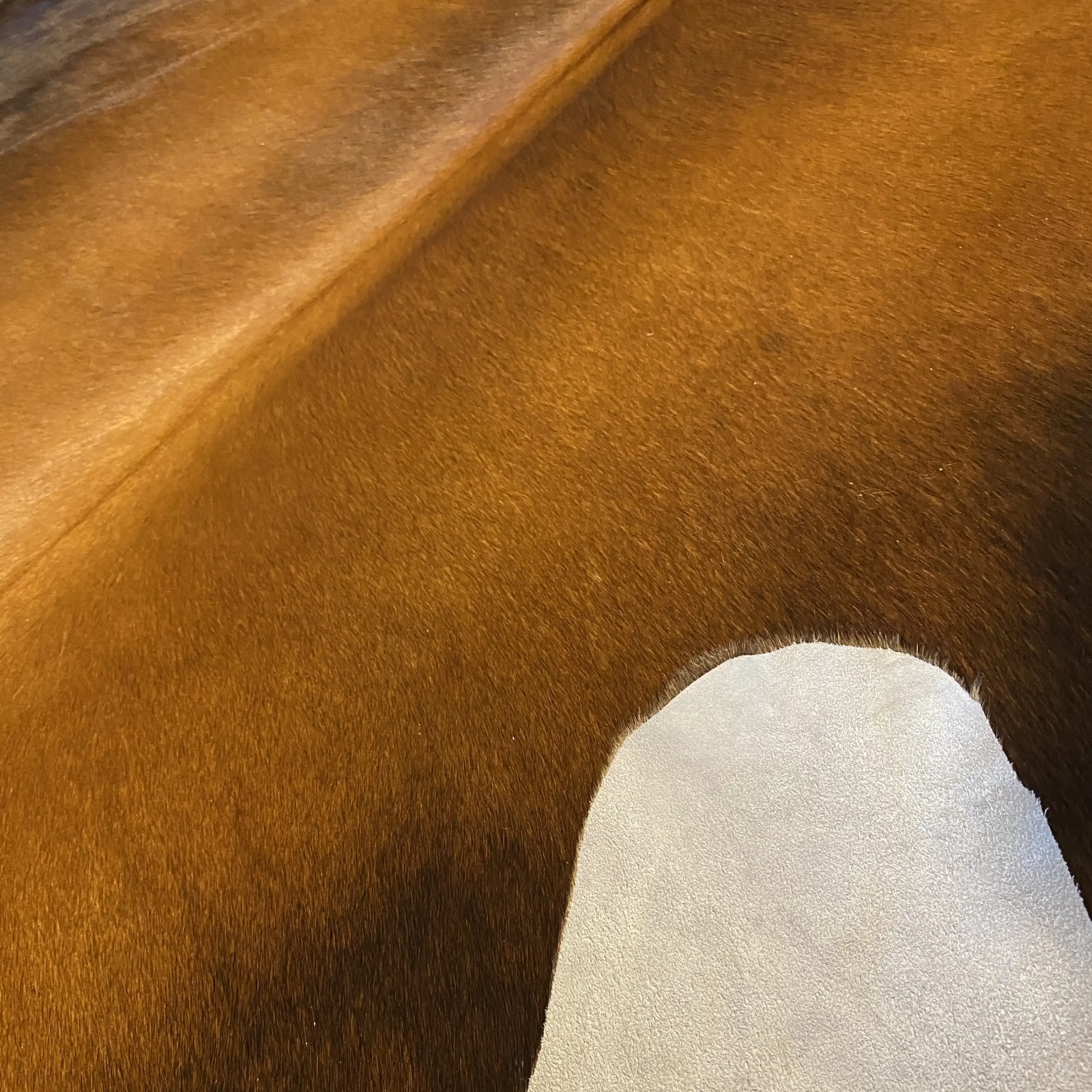 HAKİKİ DERİ DANA POSTU MIX KAHVE 200 x 235 - 1001000091