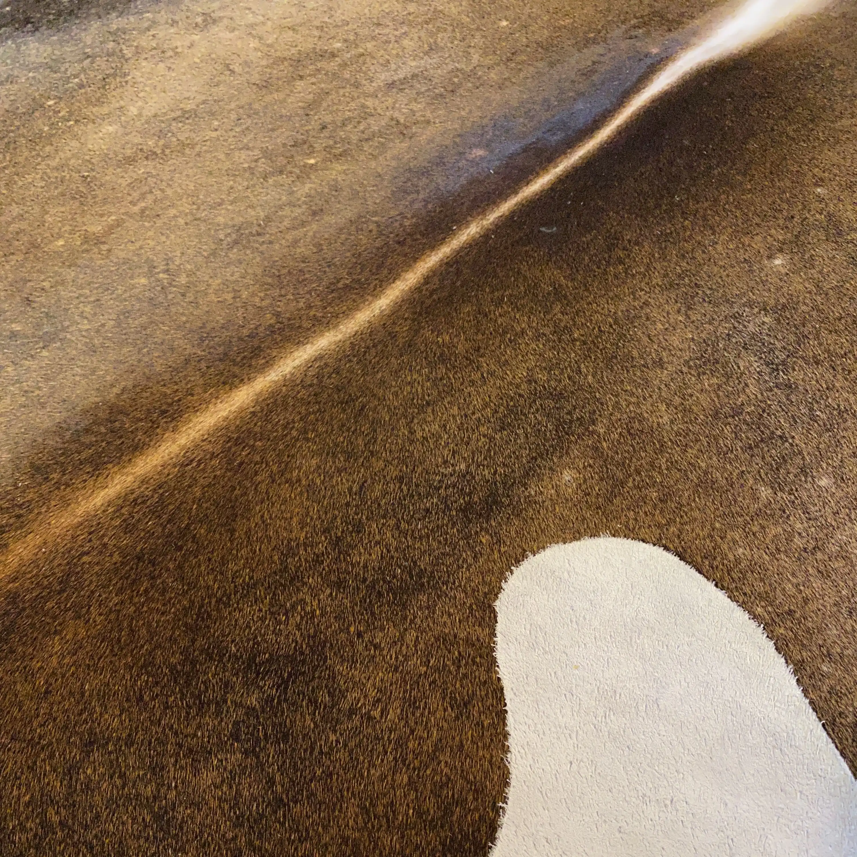 HAKİKİ DERİ DANA POSTU MIX KAHVE 200 x 245 - 1001000108