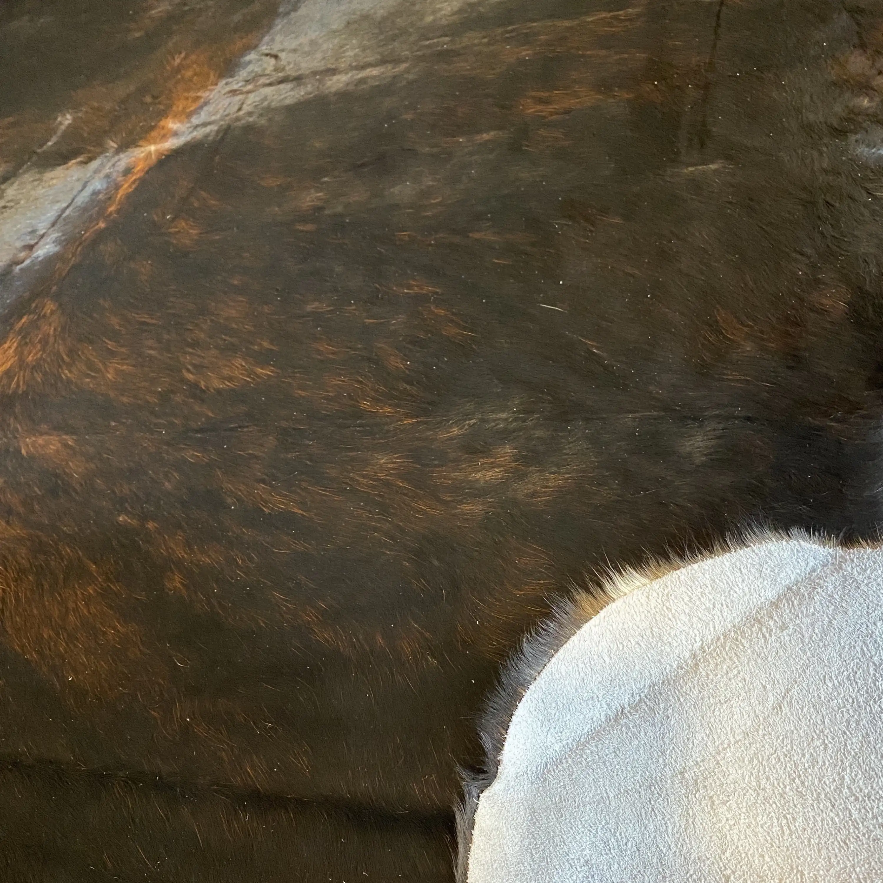 HAKİKİ DERİ DANA POSTU SİYAH 215 x 255 - 0101000017