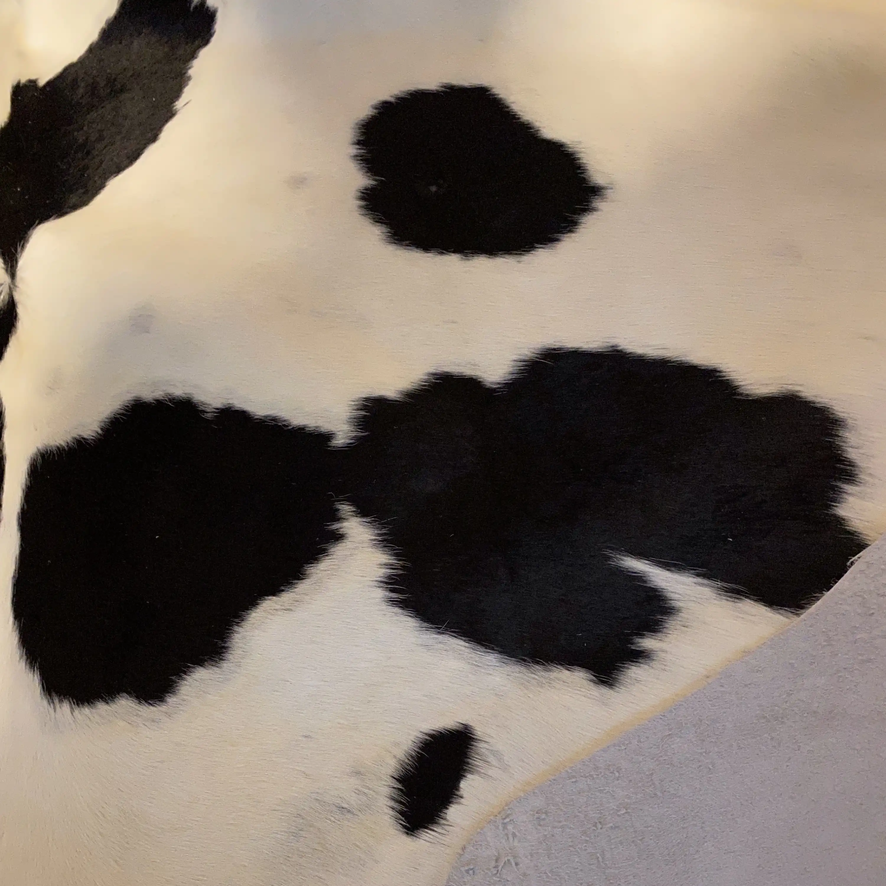 HAKİKİ DERİ DANA POSTU SİYAH - BEYAZ 200 x 235 - 0701000039