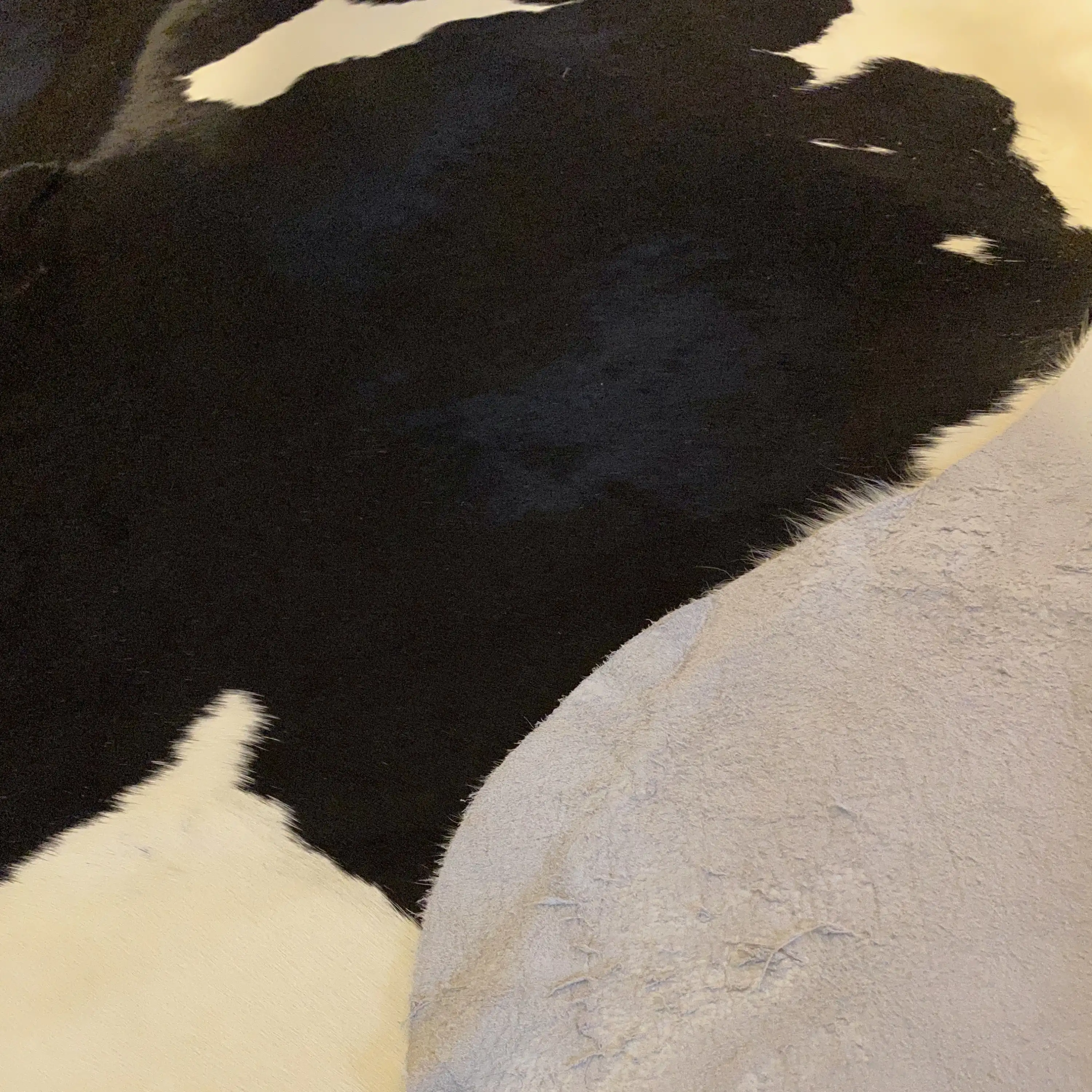 HAKİKİ DERİ DANA POSTU SİYAH - BEYAZ 210 x 225 - 0701000067