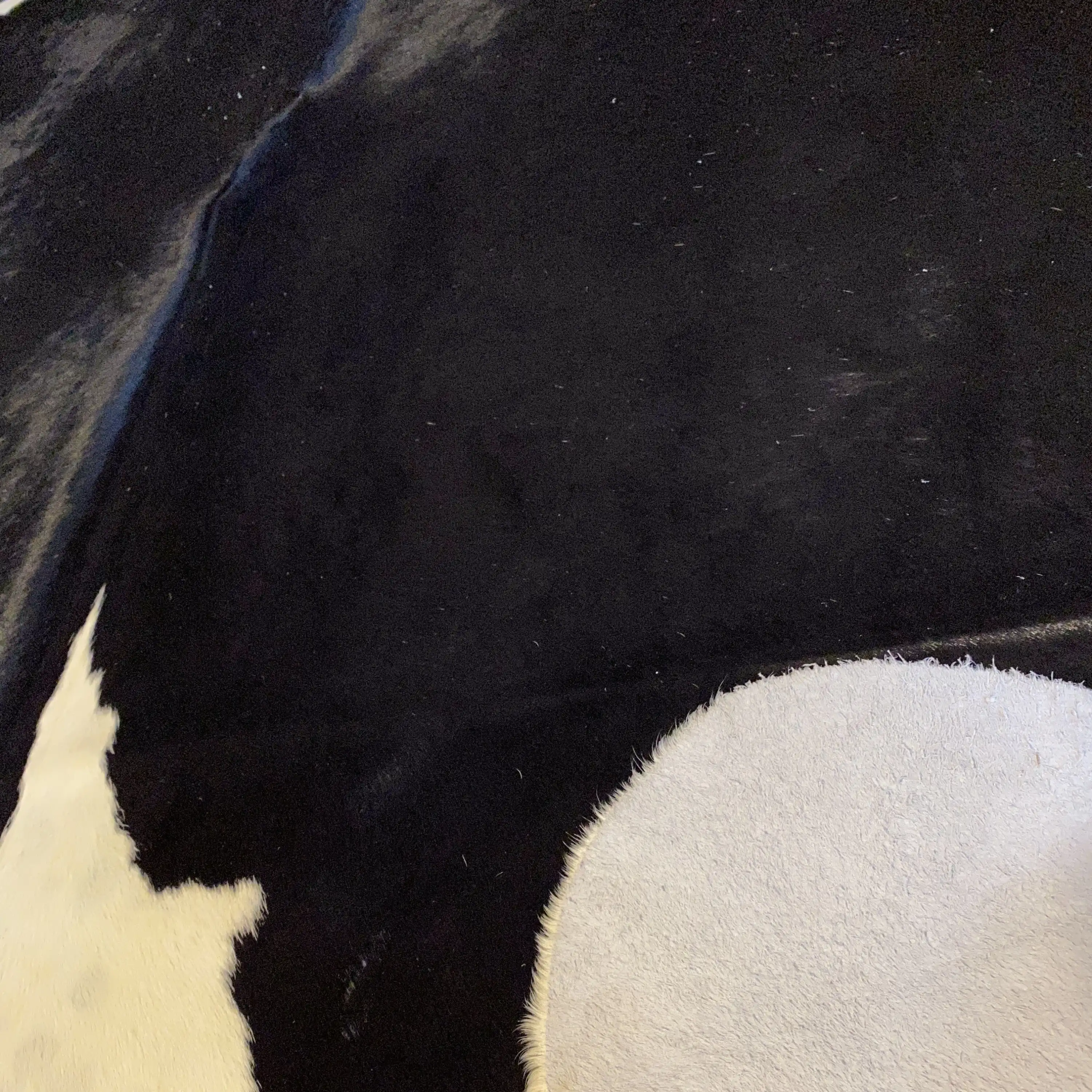 HAKİKİ DERİ DANA POSTU SİYAH - BEYAZ 220 x 255 - 0701000163