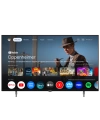 Arçelik 7 Serisi A65 E 795 B 65 4K UHD Google TV