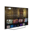 Grundig RIO 55 GHU 8900 S TV