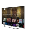 Grundig RIO 55 GHU 8900 S TV