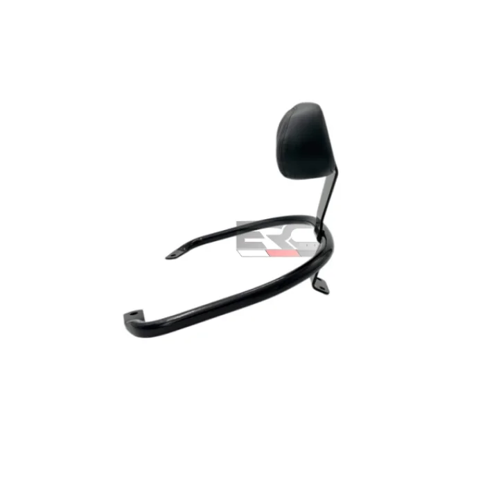 Vespa GTS Sissy Bar - SIRT DAYAMA