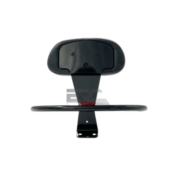 Vespa GTS Sissy Bar - SIRT DAYAMA