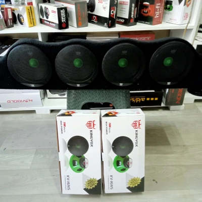 Kingvox 16cm Midrange 2 Takım + Universal Dik Pandizot