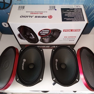 Reiss Oval Midrange - Reiss RS-GM69S 300w 100RMS Oval Midrange