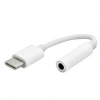 Powermaster Type C to Aux Dönüştürücü - Powermaster 10cm Type C Girişi Aux Dönüştürücü Kablo