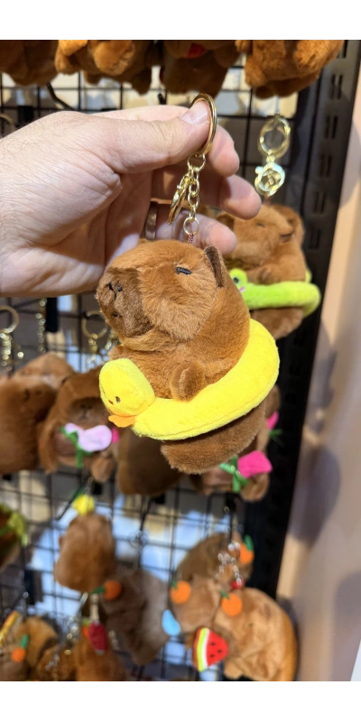 Cappypara cavcık smit giyor