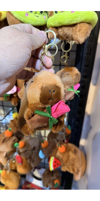 Cappypara f.gülüsu taşıyor