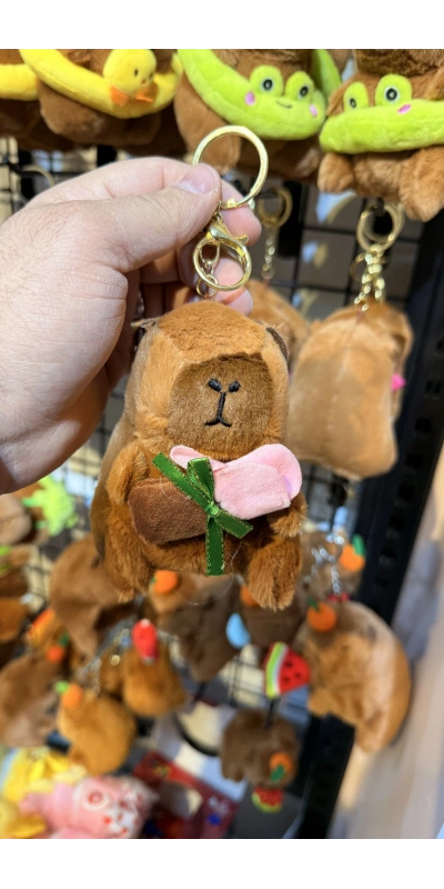 Cappypara p.gülüsü taşıyor