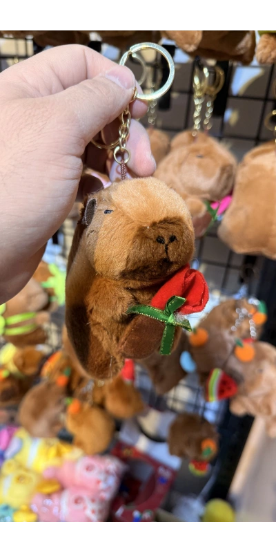 Cappypara k.gülüsü taşıyor