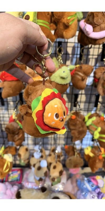 Cappypara hamburger taşıyor