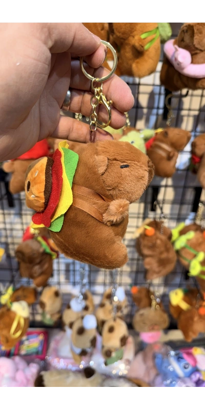 Cappypara hamburger taşıyor