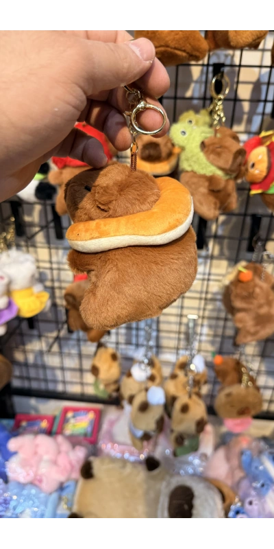 Cappypara yastık taşıyor