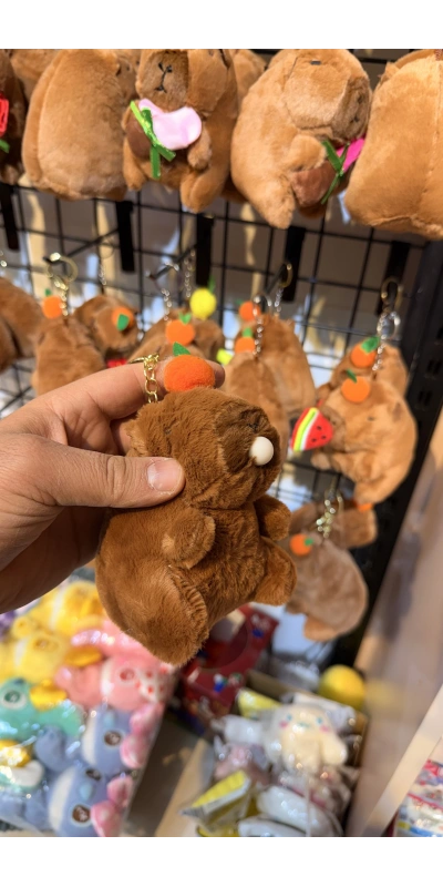 Cappypara sakız çiğniyor