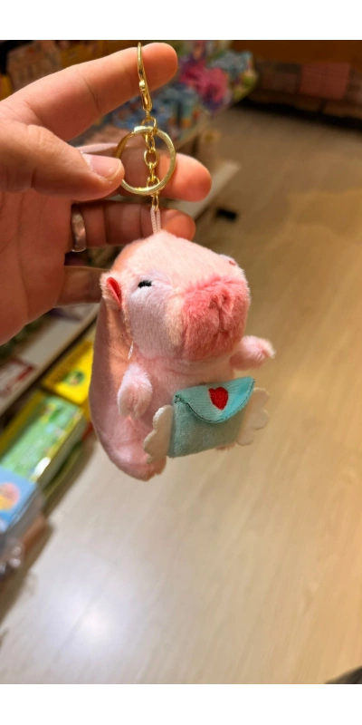 Pembe Cappypara Mektupsu Taşıyor Mavi