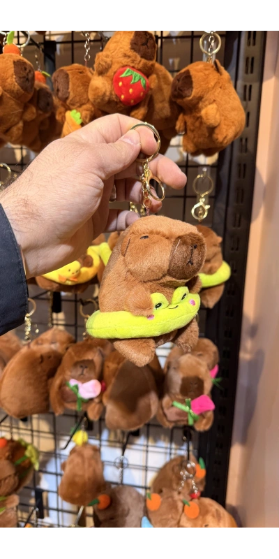 Capybara D.smit giyor