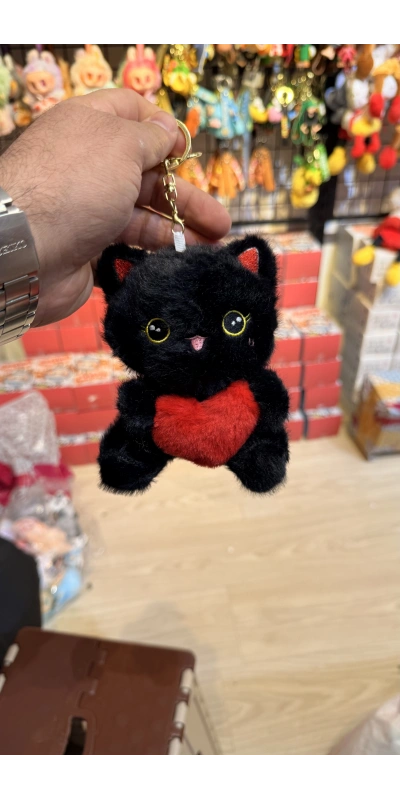 Kırmızı kalpli siyah kedi