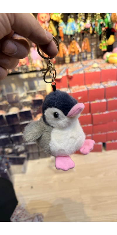 Pembe ayaklı patrık