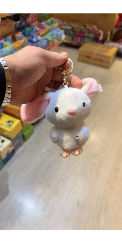 Uzun kulaklı tavşan beyaz