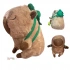 Capybara Büyük Boy Babası Yeşil Sülfat Taşıyor