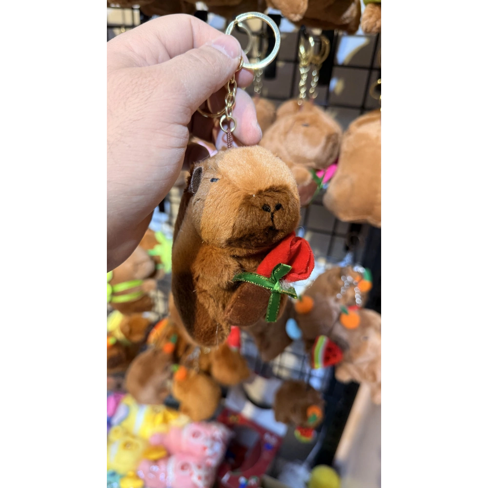 Cappypara k.gülüsü taşıyor