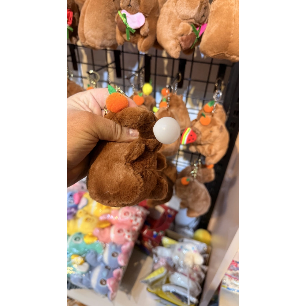 Cappypara sakız çiğniyor