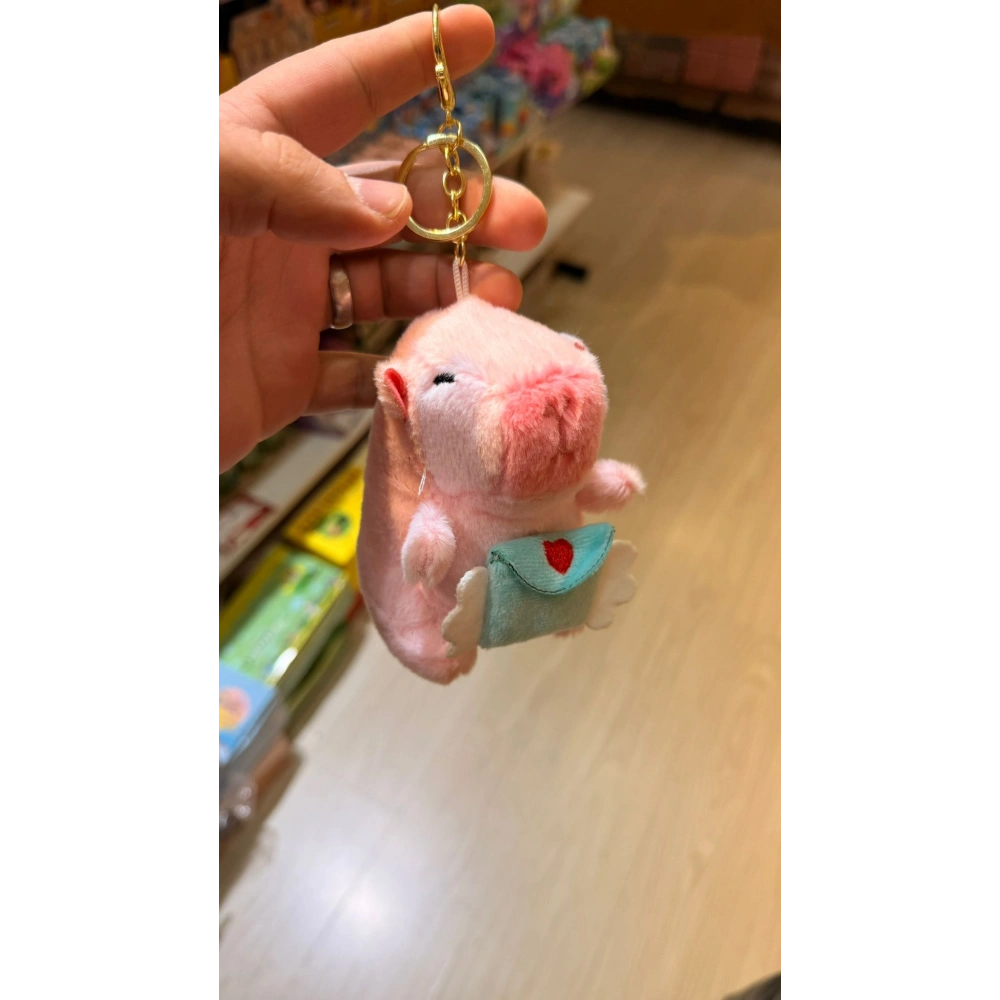 Pembe Cappypara Mektupsu Taşıyor Mavi