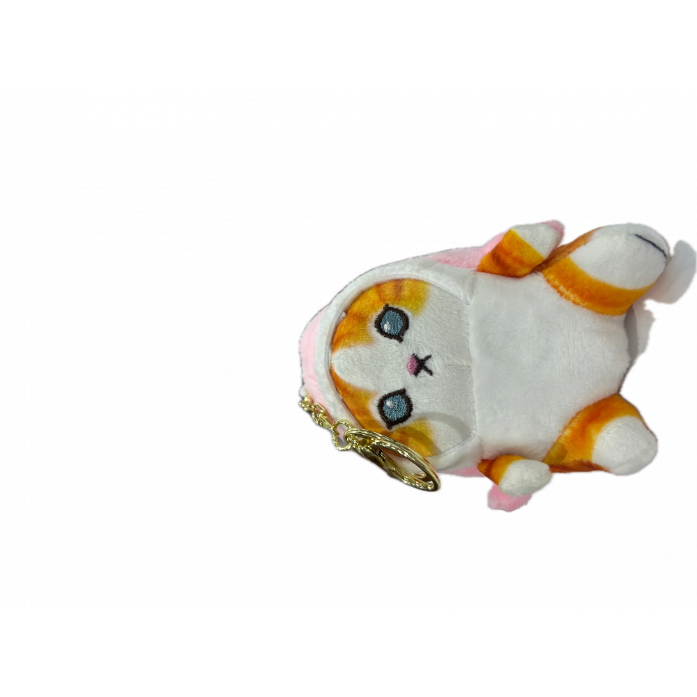 Balık köpeği taşıyan kedi