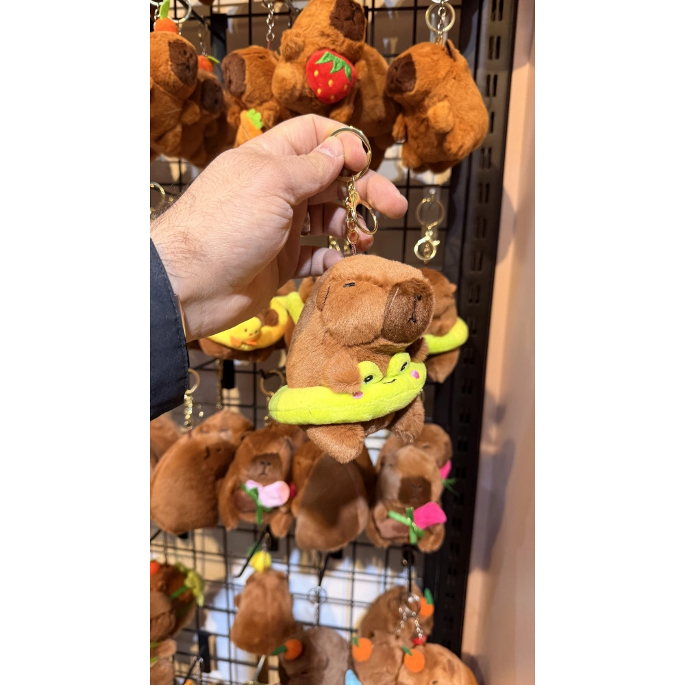 Capybara D.smit giyor